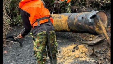 FB IMG 1762764766626